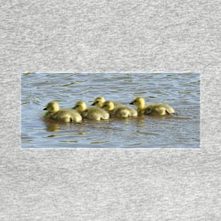 Baby goslings, Canadian Geese, wildlife gifts T-Shirt